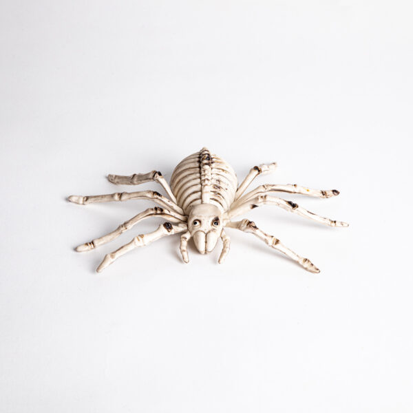Esqueleto de Araña 23 x 15.5 x 7 cms. en Plástico - Imagen 2
