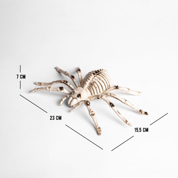 Esqueleto de Araña 23 x 15.5 x 7 cms. en Plástico - Imagen 3