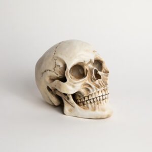 Calavera 19 x 14 x 11 cms. en Resina Calavera