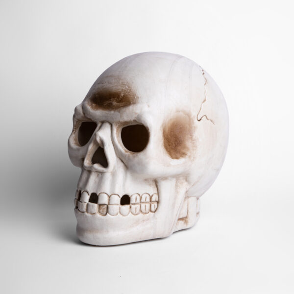 Calavera con Luz Led Interior 35 x 25 cms. en Plástico - Imagen 2
